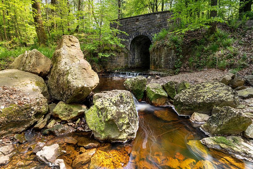 Hoëgne Tal, Hohes Venn, Belgien von Alexander Ludwig