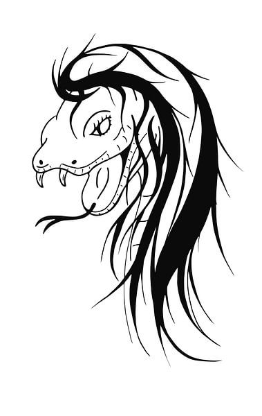Dessin en noir et blanc d'une tête de serpent avec une coiffure de femme par Wandersti