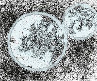 Two moons in silence Lune abstraite moderne minimale