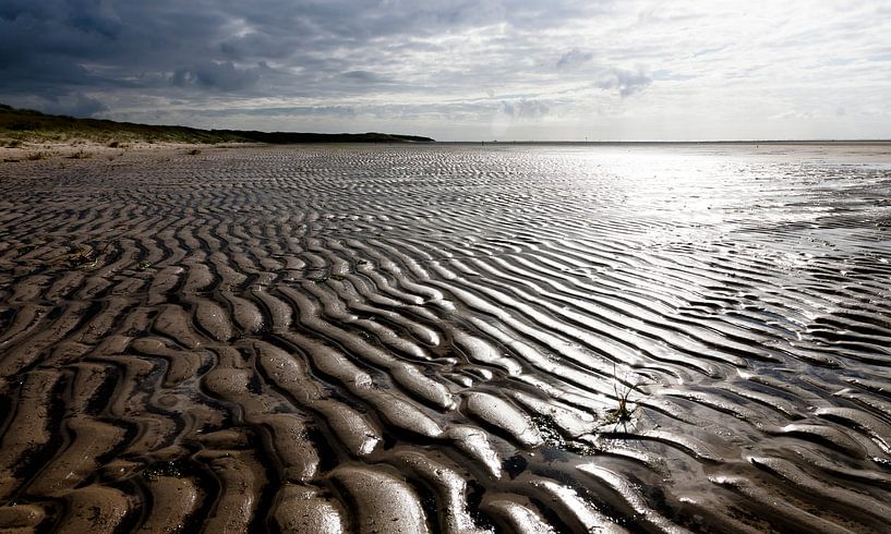 Tegenlicht over de Hors von Martijn Smit