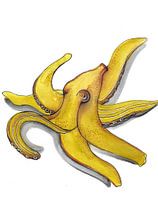 Bananenkrake