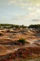 dunes near Groet (North Holland)