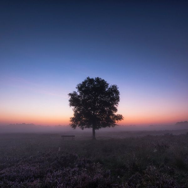 Gasterse Duinen Drenthe erwacht von Rick Goede