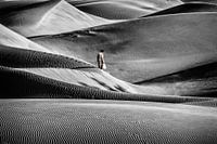 Fresh eggs for breakfast BW