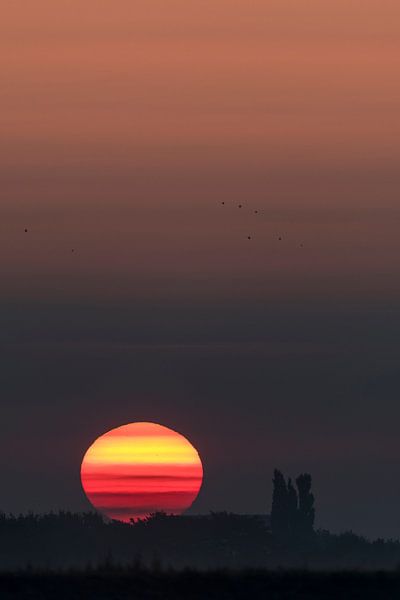 Lever du soleil à Zwolle par Erik Veldkamp