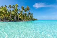 Türkisfarbenes Paradies auf Tahaa, Französisch-Polynesien