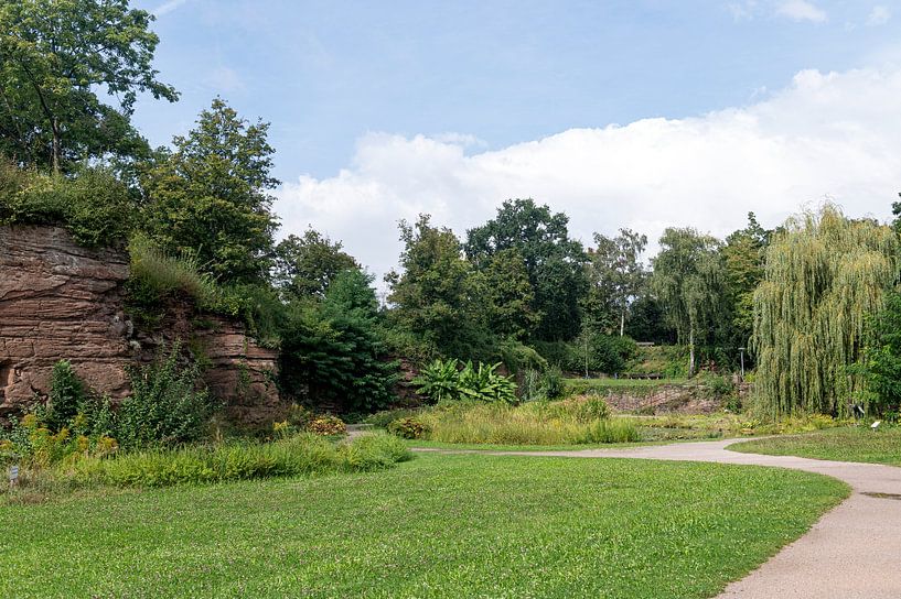 Höhenpark Killesberg von Richard Wareham