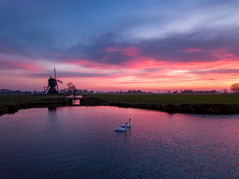 Swans at sunrise by Martijn de Ruijter