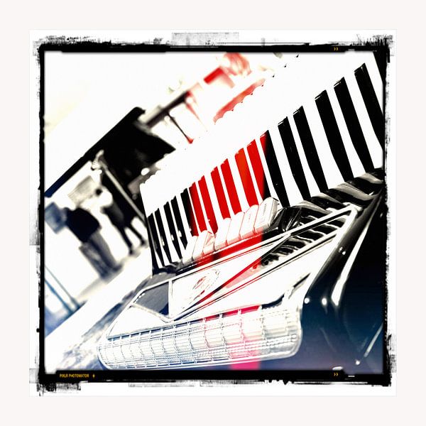 Accordeon von Pim Feijen