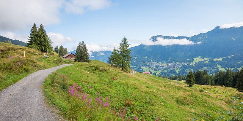 Wanderweg von Mürren zur Grütschalp Schweizer Alpen von SusaZoom