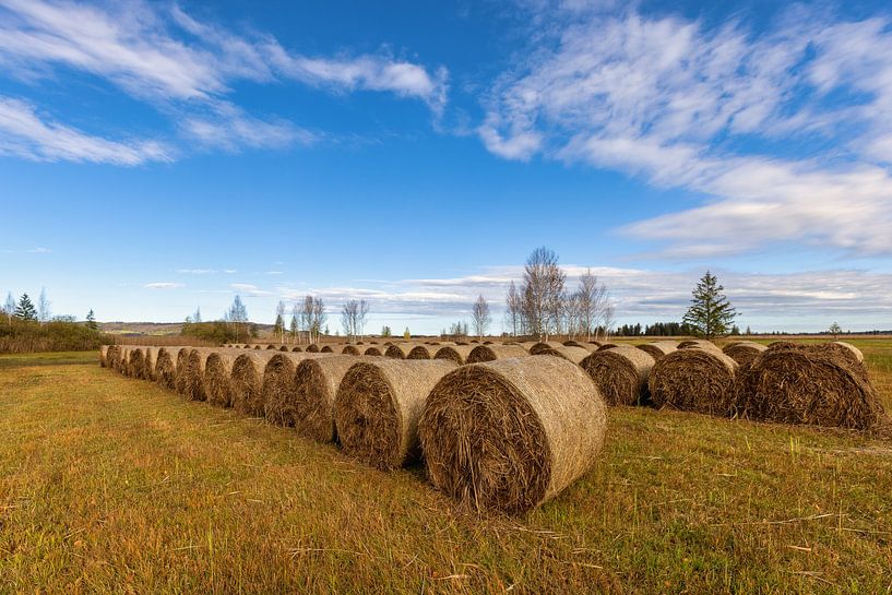 Bottes de paille par Christina Bauer Photos