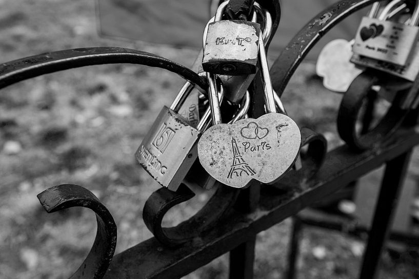 Paris l'amour verrouille une clôture par Blond Beeld