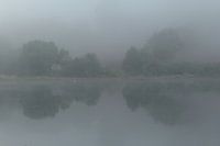 Fog Mirror