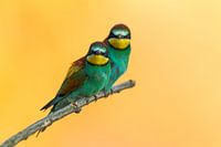 Are we sitting correctly?