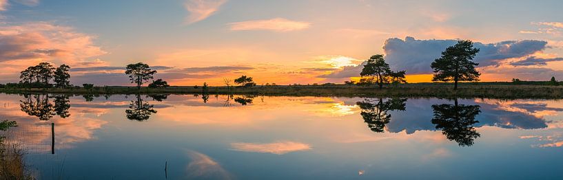 Panorama eines Sonnenuntergangs im Nationalpark Dwingelderveld von Henk Meijer Photography