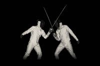 08 - Fencing