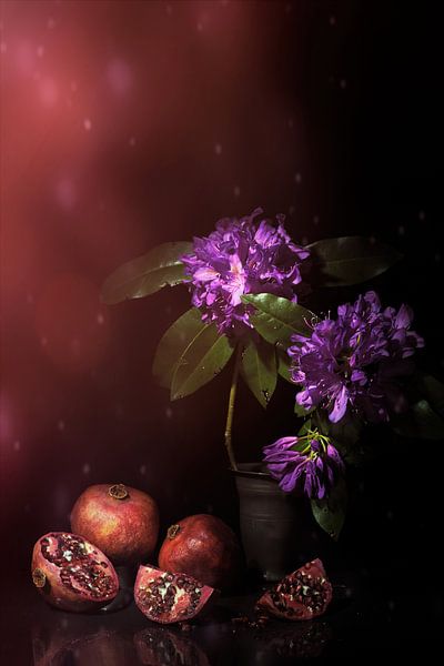 Cheerful glowing still life with pomegranates and rhododendron. by Saskia Dingemans Awarded Photographer