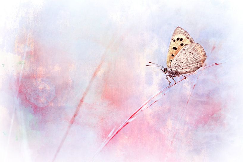 Love me or leave me II par Bob Daalder