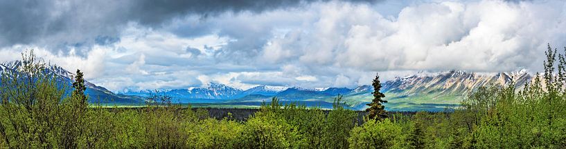 Panorama des sommets montagneux au Yukon, Canada par Rietje Bulthuis
