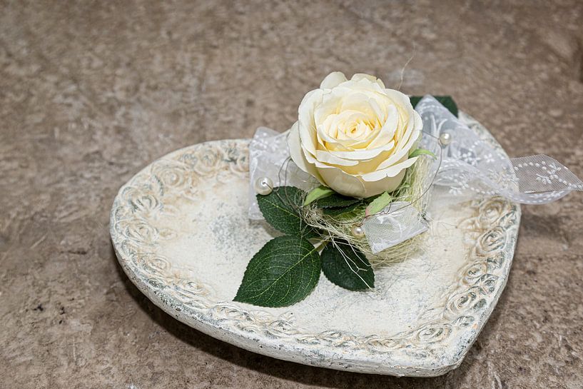 weiße Rose von Thomas Heitz