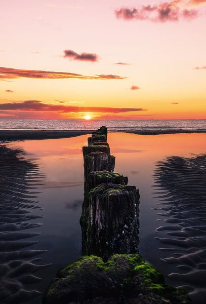 Plage de Burgh-Haamstede par Colin Bax