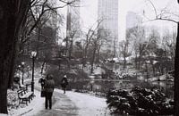 Black and white central park in the winter