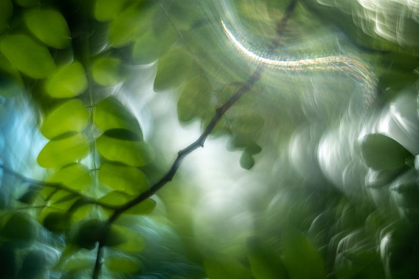 Eine frische grüne Fantasie von Gerry van Roosmalen