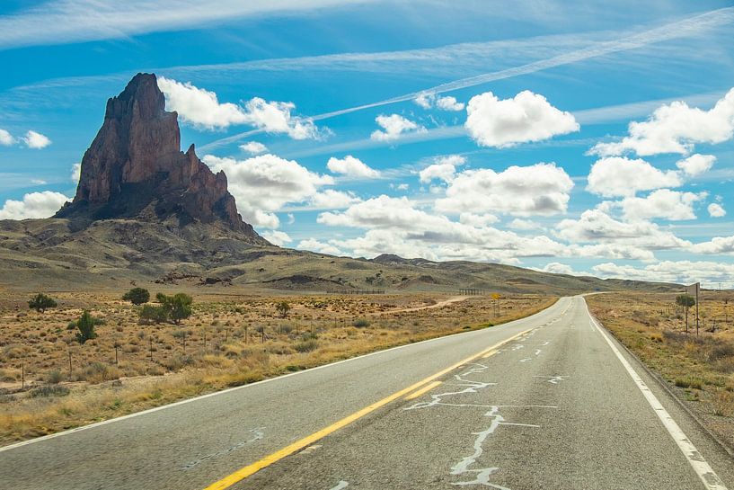 Lonely rock in Monument Valley by Heleen Pennings