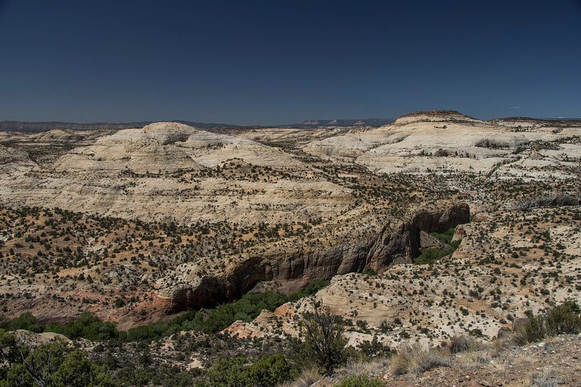 Paysage par Kimberley Helmendag