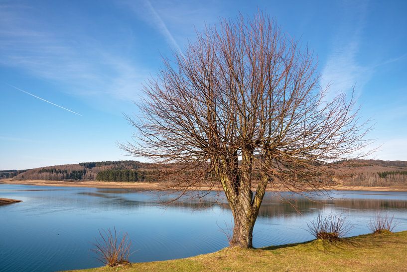 Große Dhünntalsperre, Bergisches Land, Deutschland von Alexander Ludwig