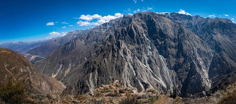 Eindrucksvolles Panorama der Colca-Schlucht, Peru von Rietje Bulthuis