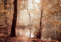 Do you believe in magic?