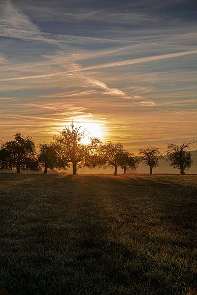 Morgendämmerung von Thomas Heitz