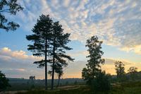 Zonsopkomst op de heide met mooie wolkenlucht
