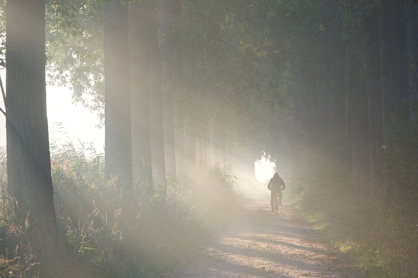 Mit dem Fahrrad dem Licht entgegen von Michiel kijkt!
