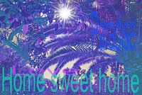 Trautes Heim - Paradies Blau