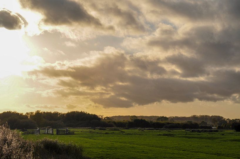 autumn sun on the meadow by Heleen de Silva