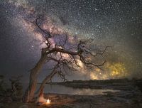 Flatvarp milkyway 2025