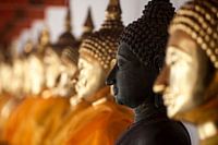 Buddha images in a row