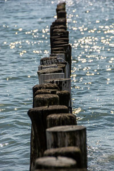 Têtes de mât sur la côte près de Zoutelande par Roland de Zeeuw