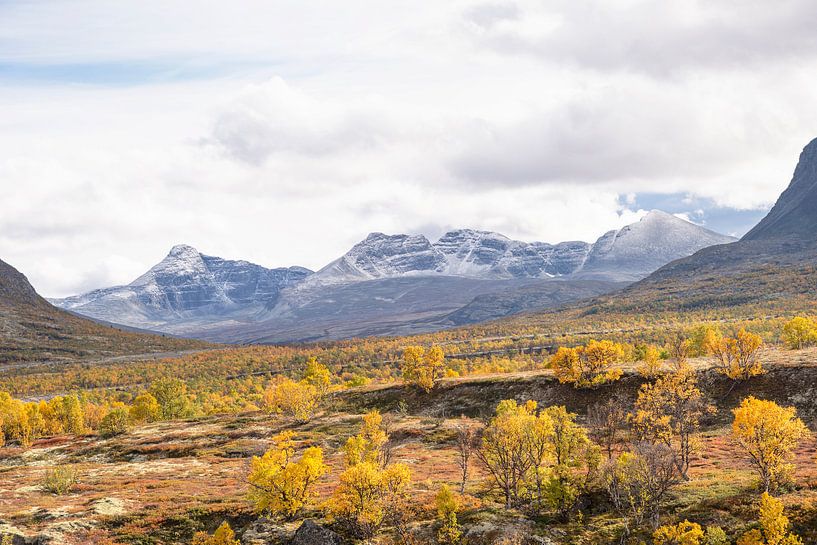 Autumn in Rondane by Barbara Brolsma