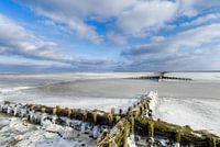 Rijsdammen in het ijs