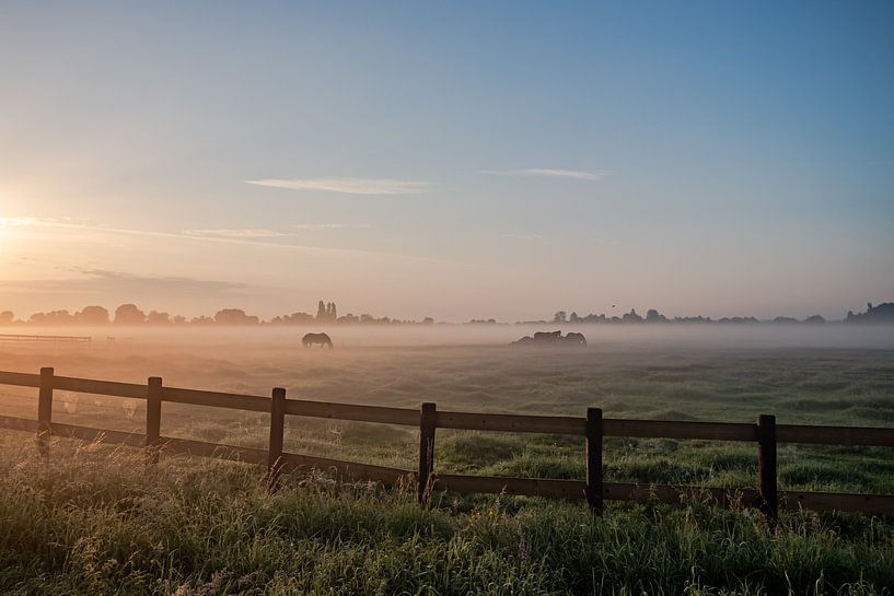 Dutch landscape sunset sunrise meadow and horses by Déwy de Wit