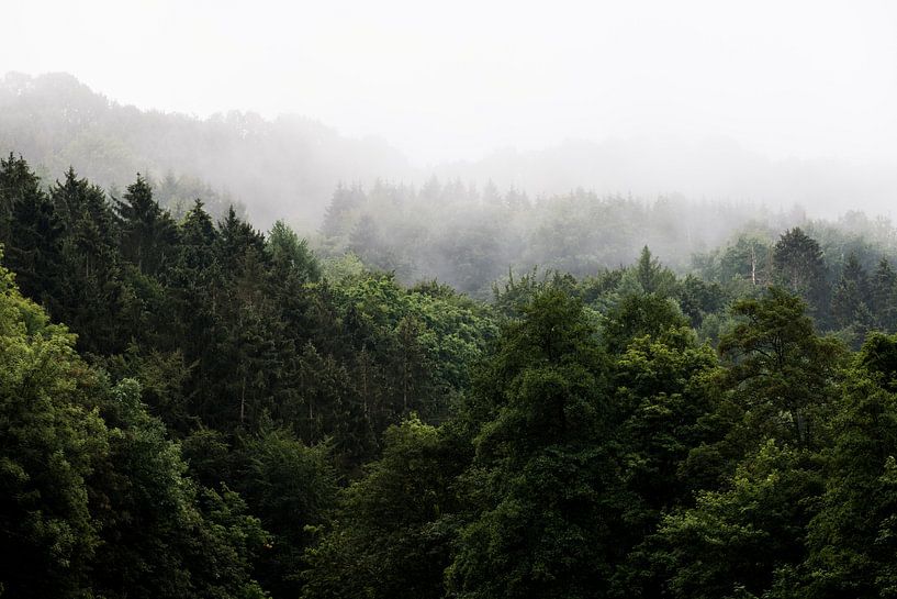 Misty mood par Erwin Dijkshoorn