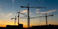 Grues au lever du soleil sur un chantier de construction