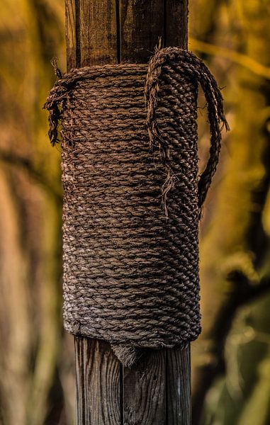 Old Makiwara von Tinus Tibbe