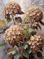 Zwiebelhydrangea's im Herbst