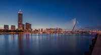 Salmon Harbour Tower, Erasmus Bridge depuis Kop van Zuid, Rotterdam