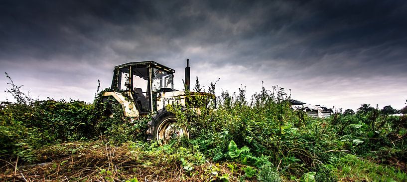 Lamborghini by Michel de Koning