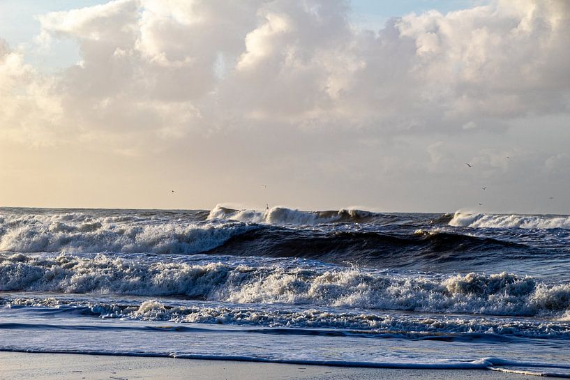 Raue See von Ralf Bankert